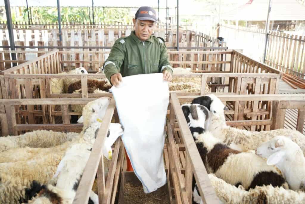 Gabung-DD-Farm-Sudigda-Mampu-Berdaya-3-1024x684